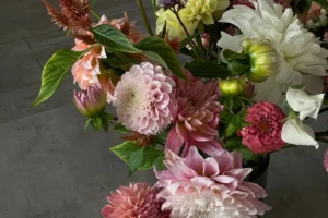 14-year-anniversary-dahlia-flowers
